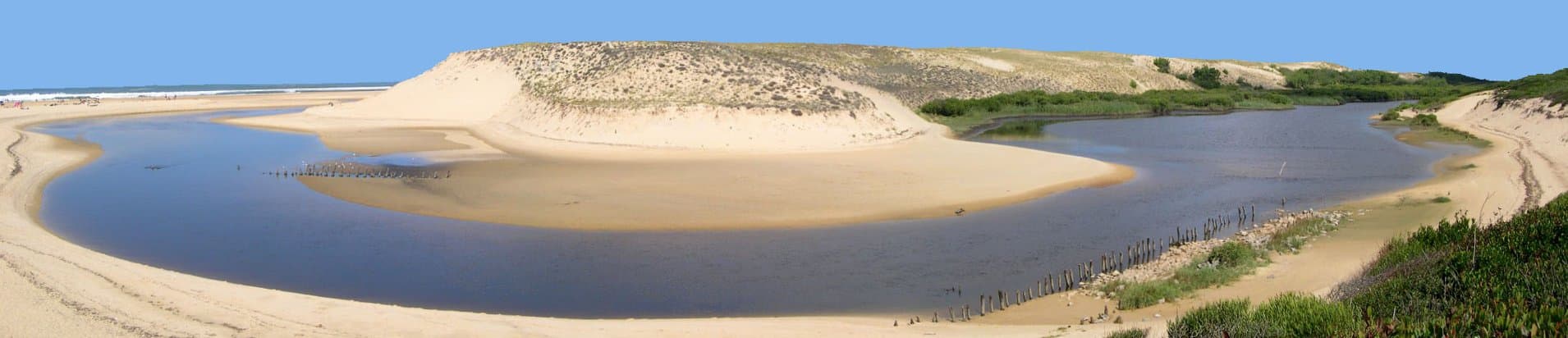 Réserve naturelle du courant d'Huchet