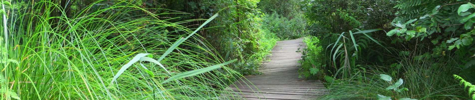 reserve naturelle etang noir