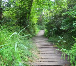 reserve naturelle seignosse