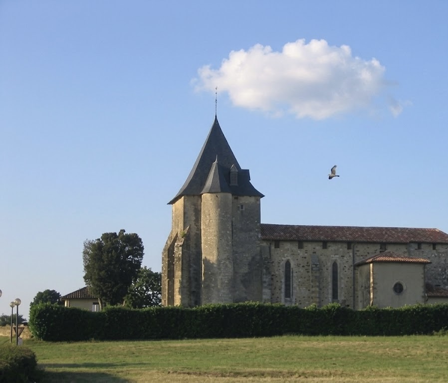 Camping près de Saubion, pinède landaise – Camping Lou Pignada