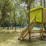 camping cabane2