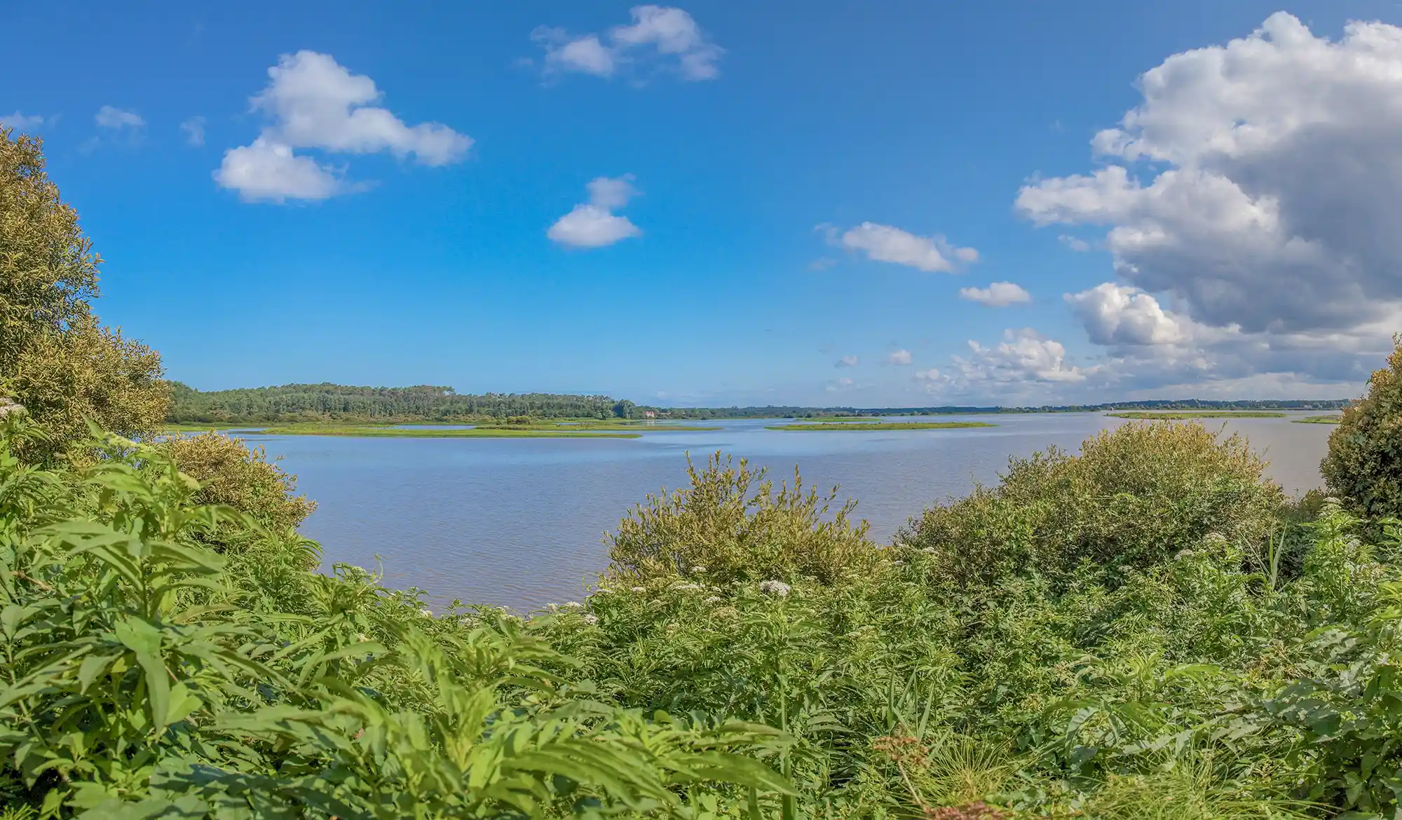 reserve naturelle du marais d orx