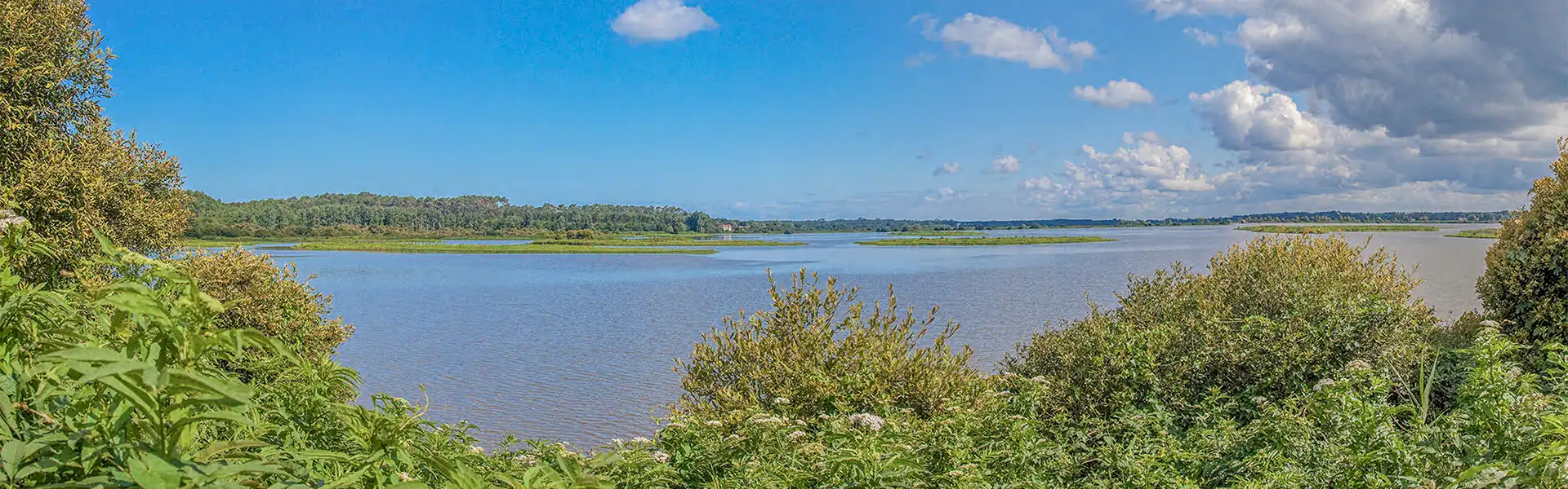 reserve naturelle du marais d orx