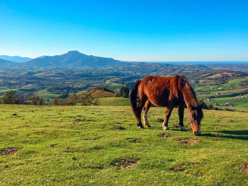 toerisme pays basque©CDT64 A.Salaun resultaat